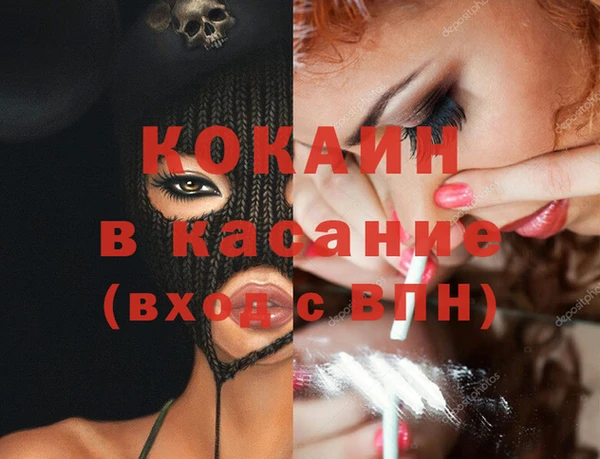 прущие грибы Переславль-Залесский
