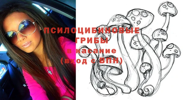дживик Покачи
