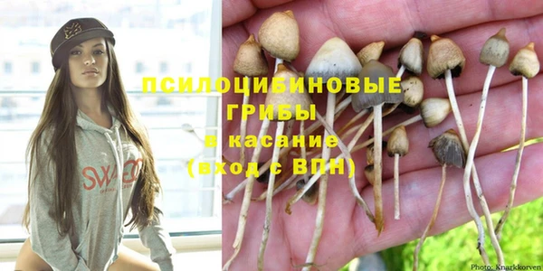 стафф Пересвет