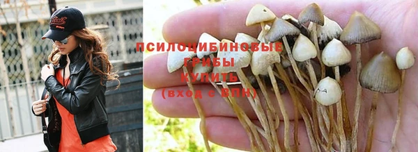 стаф Покров