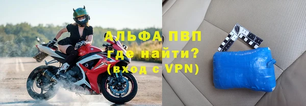 прущие грибы Переславль-Залесский