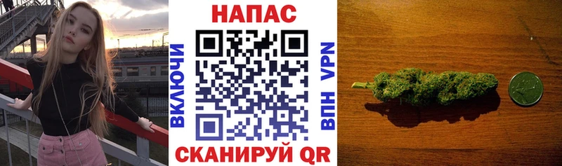 закладка  ссылка на мегу tor  Бошки Шишки план  Балей 